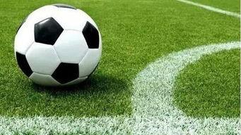 足球球队爆料视频大全,独家爆料视频大全全解析